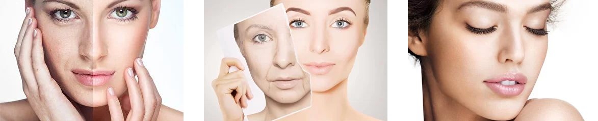 [Виктор Алисов] [Академия Огулова] Онлайн-курс _Эк_0.png